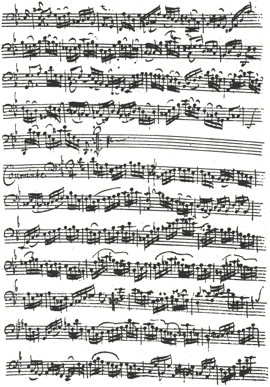 Bach Cello Suite No. 2 in D minor: Allemande (concl.), Courante (beginning)